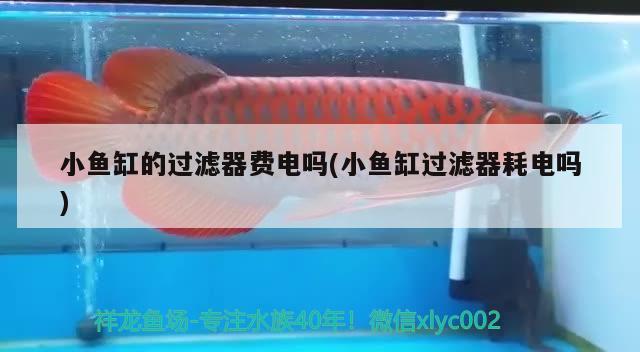 小魚缸的過濾器費(fèi)電嗎(小魚缸過濾器耗電嗎) 泰龐海鰱魚