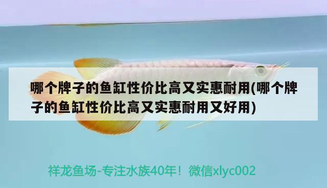 哪個牌子的魚缸性價比高又實惠耐用(哪個牌子的魚缸性價比高又實惠耐用又好用)