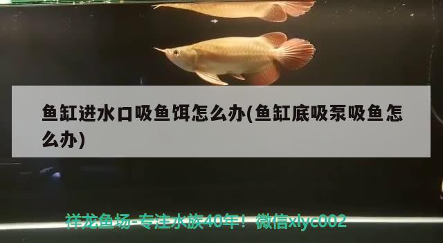 魚缸對(duì)角流水(魚缸水流死角)