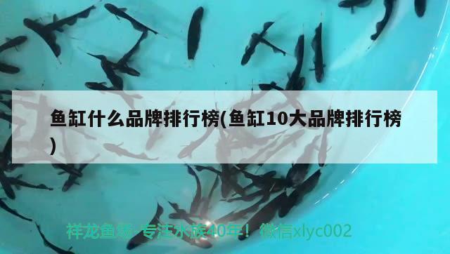 魚缸什么品牌排行榜(魚缸10大品牌排行榜)