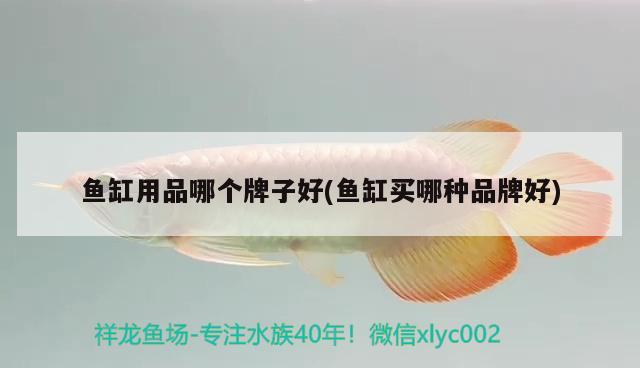 魚缸用品哪個牌子好(魚缸買哪種品牌好)