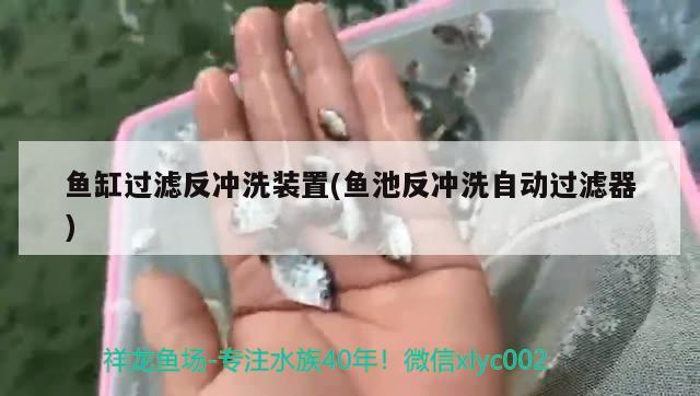 魚缸過濾反沖洗裝置(魚池反沖洗自動過濾器)