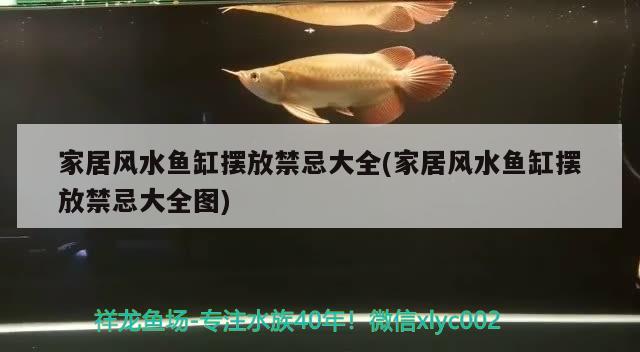 魚缸放塑料生化球的優(yōu)點魚缸放塑料生化球有用嗎，魚缸放塑料生化球?qū)︳~缸的影響及使用方法魚缸放塑料生化球有用嗎