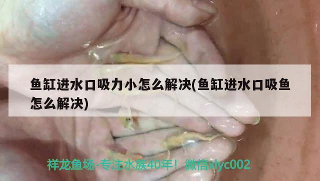 魚缸進水口吸力小怎么解決(魚缸進水口吸魚怎么解決)