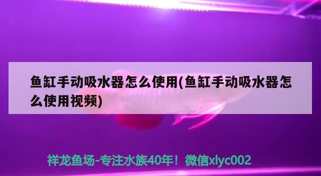 魚缸手動吸水器怎么使用(魚缸手動吸水器怎么使用視頻) 水溫計