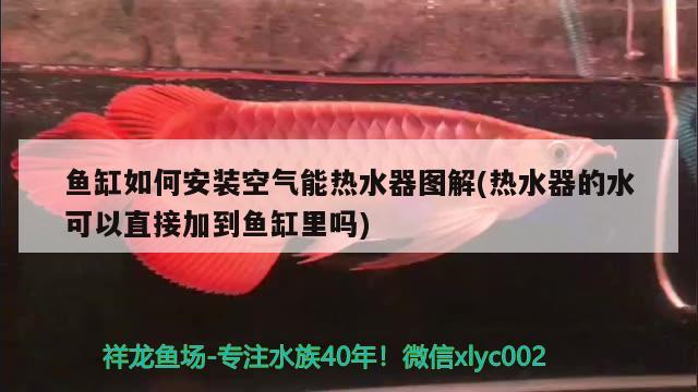 魚缸如何安裝空氣能熱水器圖解(熱水器的水可以直接加到魚缸里嗎) 定時(shí)器/自控系統(tǒng)