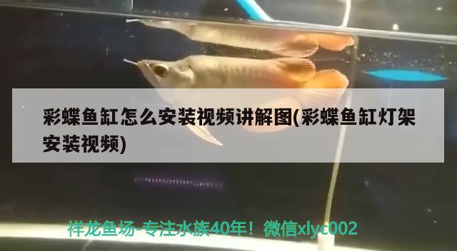 彩蝶魚缸怎么安裝視頻講解圖(彩蝶魚缸燈架安裝視頻)