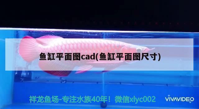 魚缸平面圖cad(魚缸平面圖尺寸)