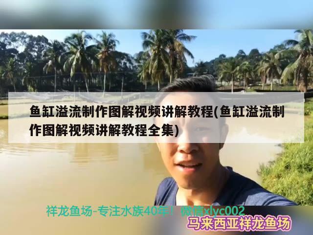 魚缸溢流制作圖解視頻講解教程(魚缸溢流制作圖解視頻講解教程全集)