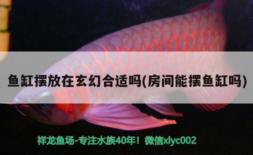 彩蝶魚(yú)缸怎么換水圖解(彩蝶魚(yú)缸怎么換水圖解視頻) 檸檬鯽