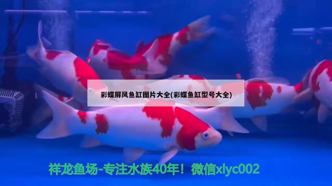 彩蝶屏風(fēng)魚缸圖片大全(彩蝶魚缸型號(hào)大全)