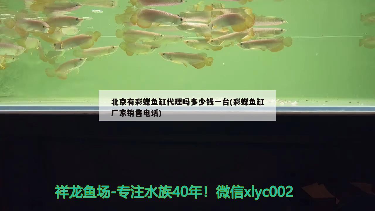 感謝各地魚友客戶特別送寄來的中秋禮品