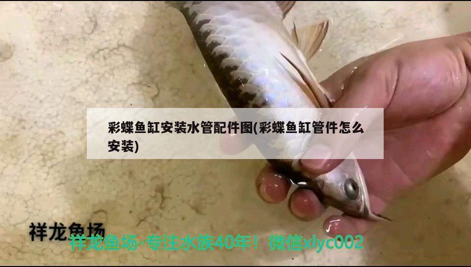 彩蝶魚缸安裝水管配件圖(彩蝶魚缸管件怎么安裝) 銀龍魚