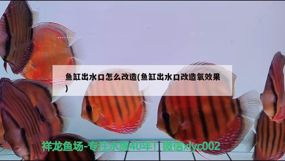 魚缸出水口怎么改造(魚缸出水口改造氧效果)