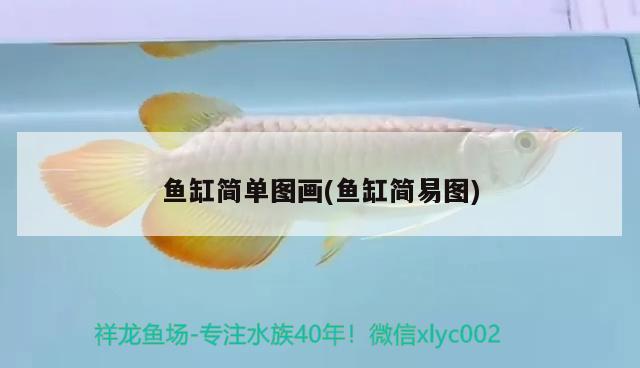 魚缸底部能用河泥嗎_（魚缸底部過濾系統(tǒng)） 白子銀版魚 第4張