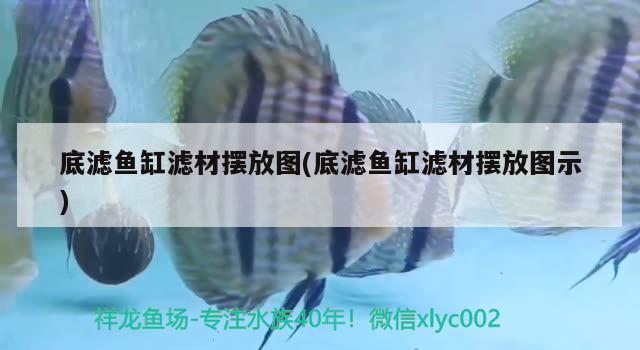 魚缸底部能用河泥嗎_（魚缸底部過濾系統(tǒng)） 白子銀版魚 第2張