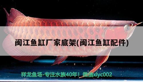 閩江魚(yú)缸廠家底架(閩江魚(yú)缸配件) 帝王迷宮魚(yú)