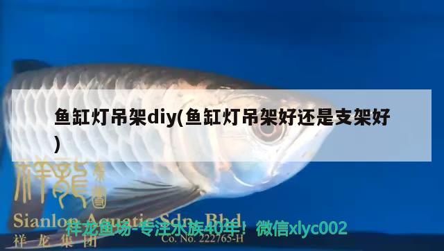 魚(yú)缸燈吊架diy(魚(yú)缸燈吊架好還是支架好) 純血皇冠黑白魟魚(yú)