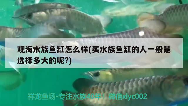 觀(guān)海水族魚(yú)缸怎么樣(買(mǎi)水族魚(yú)缸的人一般是選擇多大的呢?)