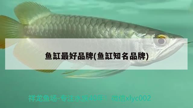 石家莊定制魚缸找哪家公司更靠譜，蘇州魚缸定制廠家在哪里 養(yǎng)魚的好處 第2張