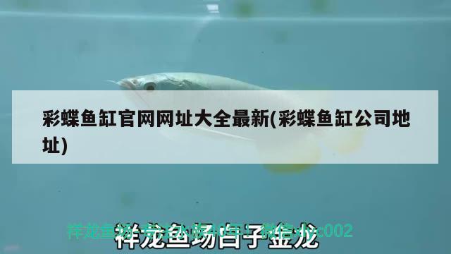 小龍魚入缸步驟，小龍魚水溫和鹽度