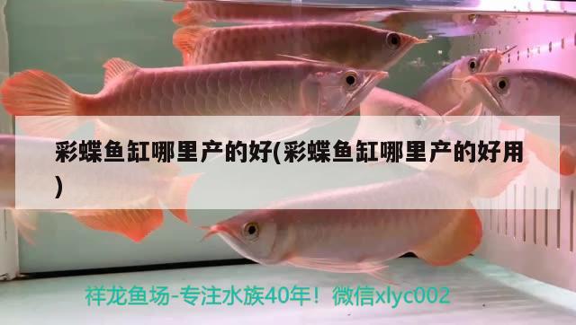 彩蝶魚缸哪里產(chǎn)的好(彩蝶魚缸哪里產(chǎn)的好用)