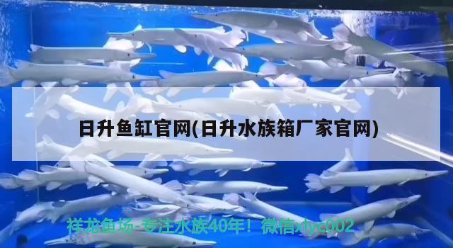 日升魚(yú)缸官網(wǎng)(日升水族箱廠(chǎng)家官網(wǎng)) 魚(yú)缸/水族箱