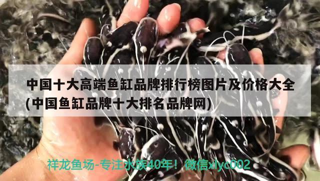 中國十大高端魚缸品牌排行榜圖片及價(jià)格大全(中國魚缸品牌十大排名品牌網(wǎng)) 粗線銀版魚苗