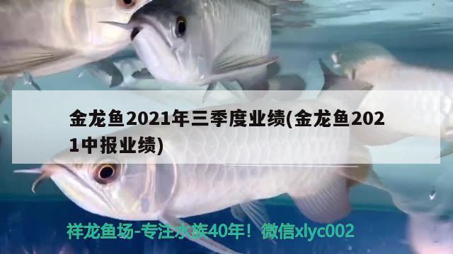 魚缸原理示意圖(魚缸原理示意圖講解) 觀賞魚