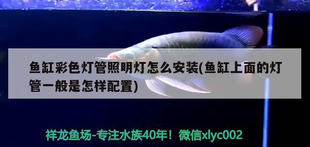 魚(yú)缸彩色燈管照明燈怎么安裝(魚(yú)缸上面的燈管一般是怎樣配置) 廣州水族器材濾材批發(fā)市場(chǎng)