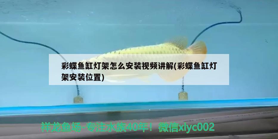 彩蝶魚缸燈架怎么安裝視頻講解(彩蝶魚缸燈架安裝位置)