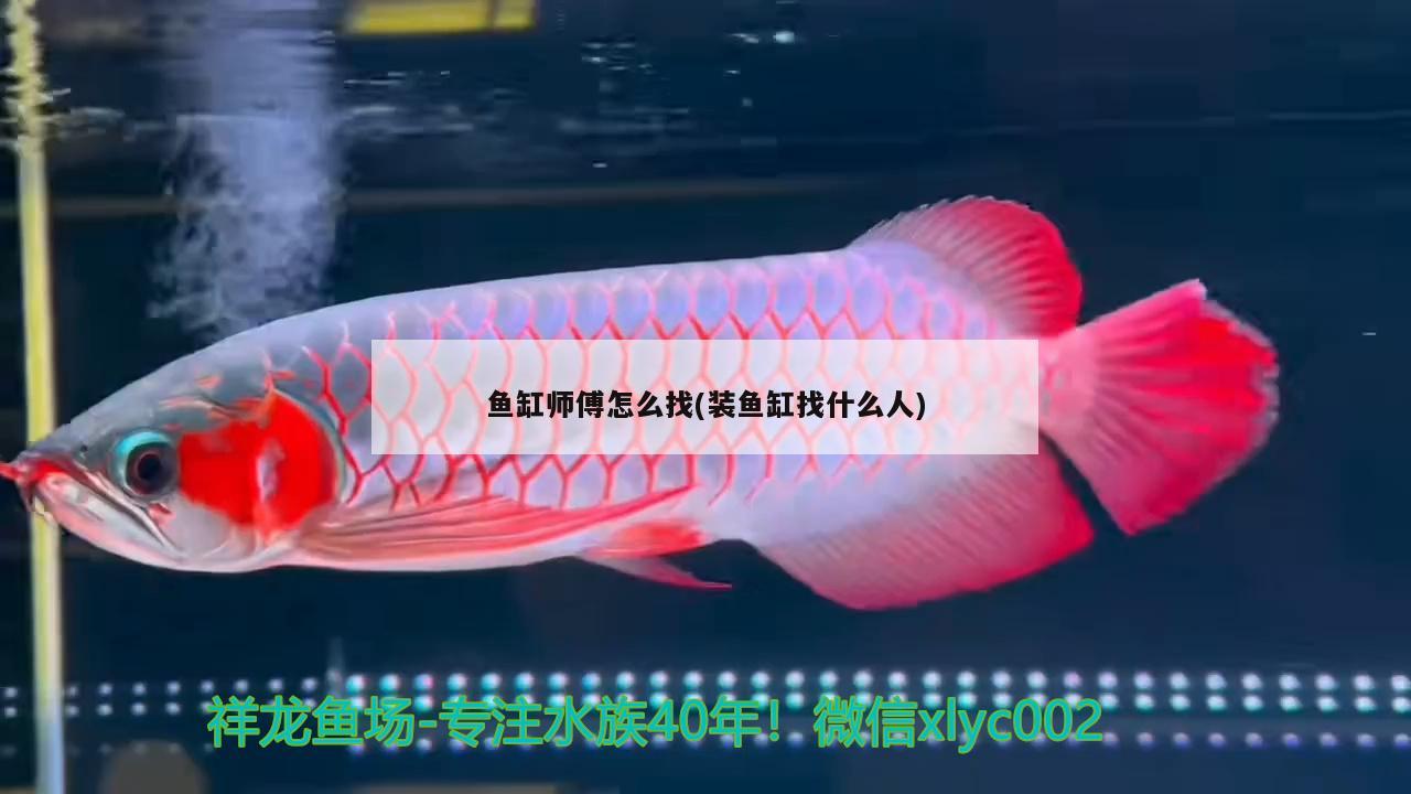 魚缸師傅怎么找(裝魚缸找什么人)