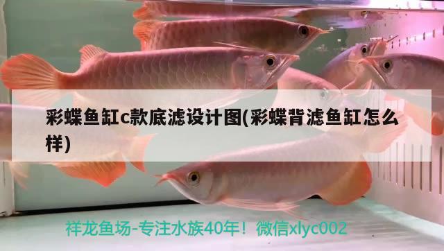 彩蝶魚缸c款底濾設(shè)計圖(彩蝶背濾魚缸怎么樣) 白化火箭