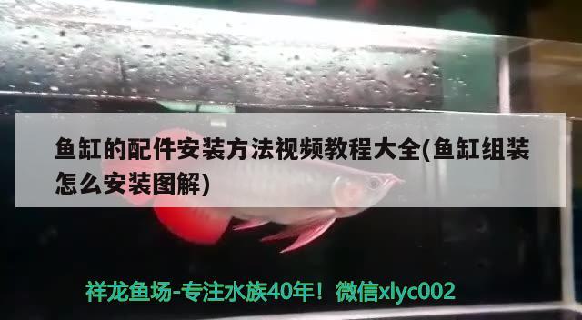 魚缸的配件安裝方法視頻教程大全(魚缸組裝怎么安裝圖解)