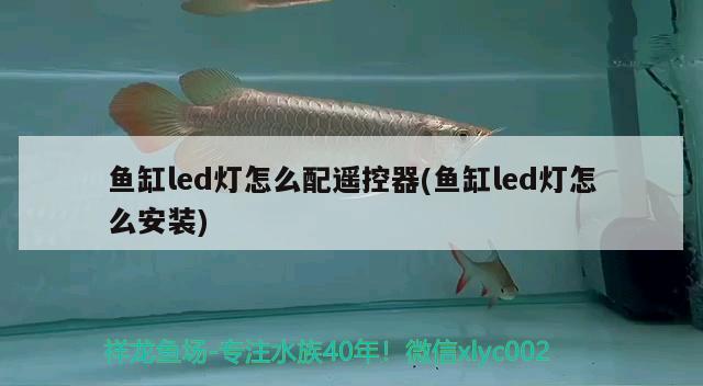 魚缸多高合適風(fēng)水(魚缸的高度風(fēng)水學(xué)) 魚缸風(fēng)水