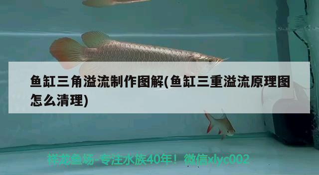 魚缸三角溢流制作圖解(魚缸三重溢流原理圖怎么清理)