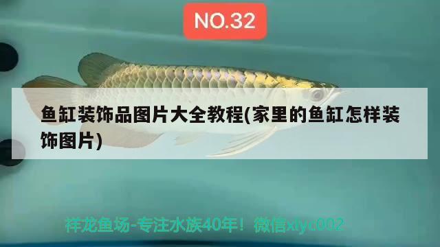 魚缸裝飾品圖片大全教程(家里的魚缸怎樣裝飾圖片) 粗線銀版魚苗