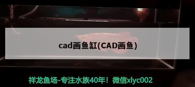 cad畫(huà)魚(yú)缸(CAD畫(huà)魚(yú))