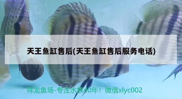 天王魚(yú)缸售后(天王魚(yú)缸售后服務(wù)電話) 月光鴨嘴魚(yú)苗