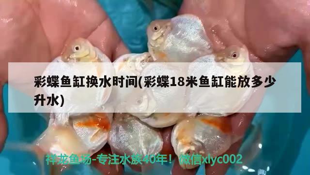 印尼虎魚圖片：印尼虎魚吧 百度貼吧