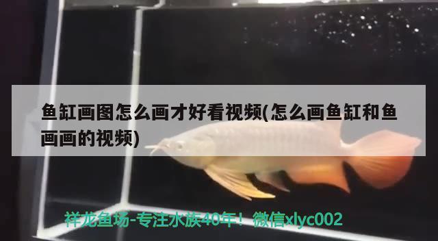 魚(yú)缸畫(huà)圖怎么畫(huà)才好看視頻(怎么畫(huà)魚(yú)缸和魚(yú)畫(huà)畫(huà)的視頻)