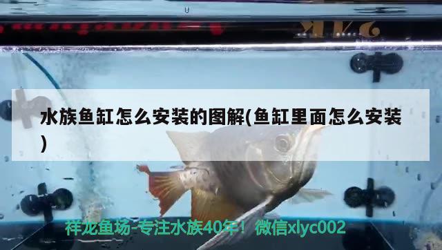 水族魚缸怎么安裝的圖解(魚缸里面怎么安裝) 南美異型魚