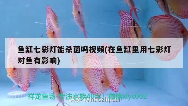 魚缸玻璃浮法的和金晶超白哪種好一點 浮法玻璃魚缸和超白玻璃魚缸的區(qū)別