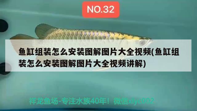 魚缸組裝怎么安裝圖解圖片大全視頻(魚缸組裝怎么安裝圖解圖片大全視頻講解)