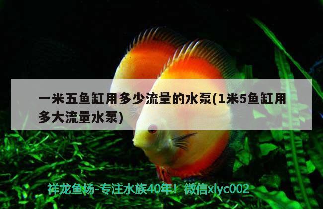 綿陽水族批發(fā)市場在哪里進貨好呢，綿陽水產(chǎn)批發(fā)在哪里 養(yǎng)魚知識 第1張