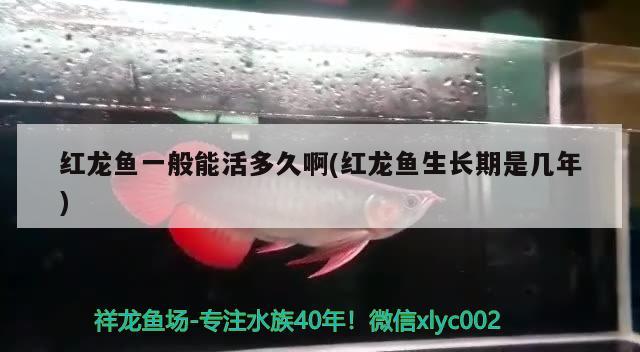 綏化魚缸上門維修電話號碼是多少綏化魚缸上門維修電話號碼是多少，綏化魚缸上門維修電話號碼是多少