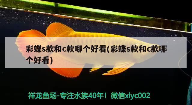 小魚缸加氧氣有用嗎視頻教程 小魚缸加氧氣有用嗎視頻教程 養(yǎng)魚的好處 第2張