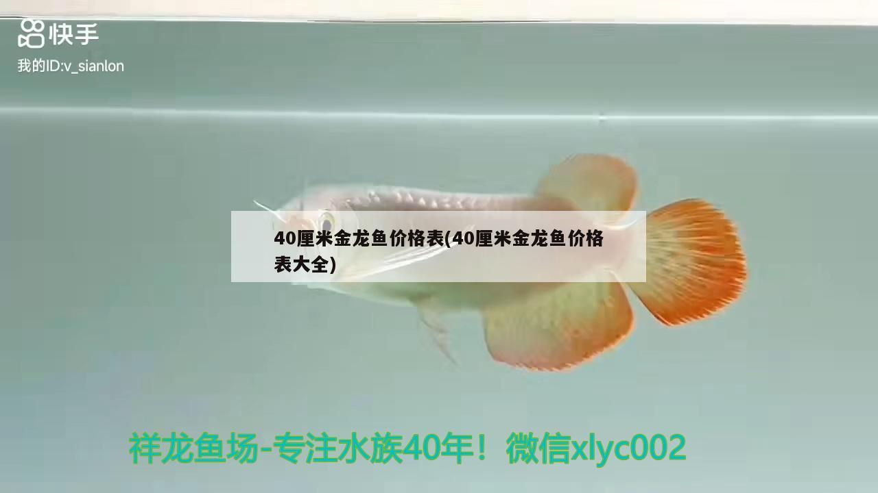 40厘米金龍魚價(jià)格表(40厘米金龍魚價(jià)格表大全) 錦鯉魚百科