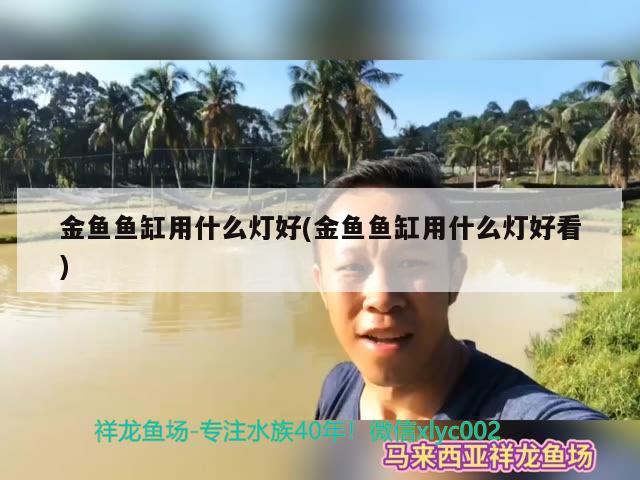 金魚魚缸用什么燈好(金魚魚缸用什么燈好看) 野彩魚