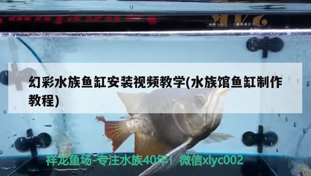 幻彩水族魚缸安裝視頻教學(水族館魚缸制作教程)